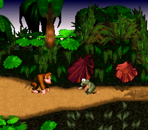 Donkey Kong Country