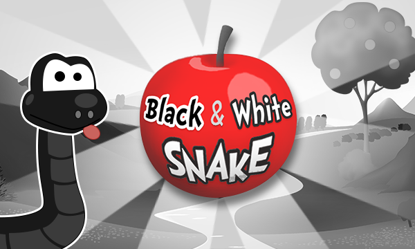 Black and white snake