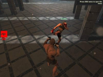 Fight Arena Online