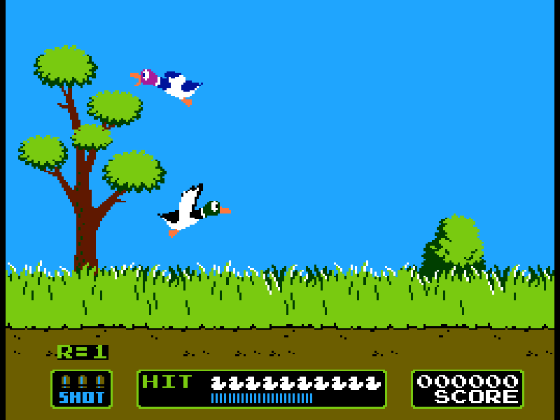 Duck Hunt