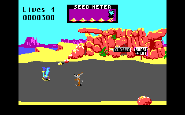 Road Runner